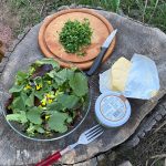 NaturCoaching2