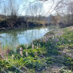 NaturCoaching4